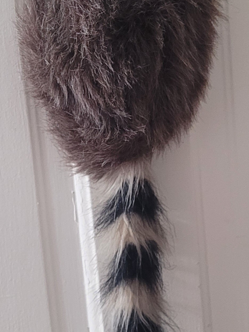 Davy Crockett Raccoon Hat Faux Fur Coonskin Cap Plush Costume New-Ray Toys